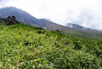 Keindahan Alam Gunung Daisetsuzan, Jepang