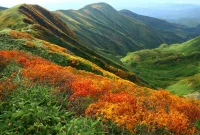 Keindahan Alam Gunung Gassan, Jepang