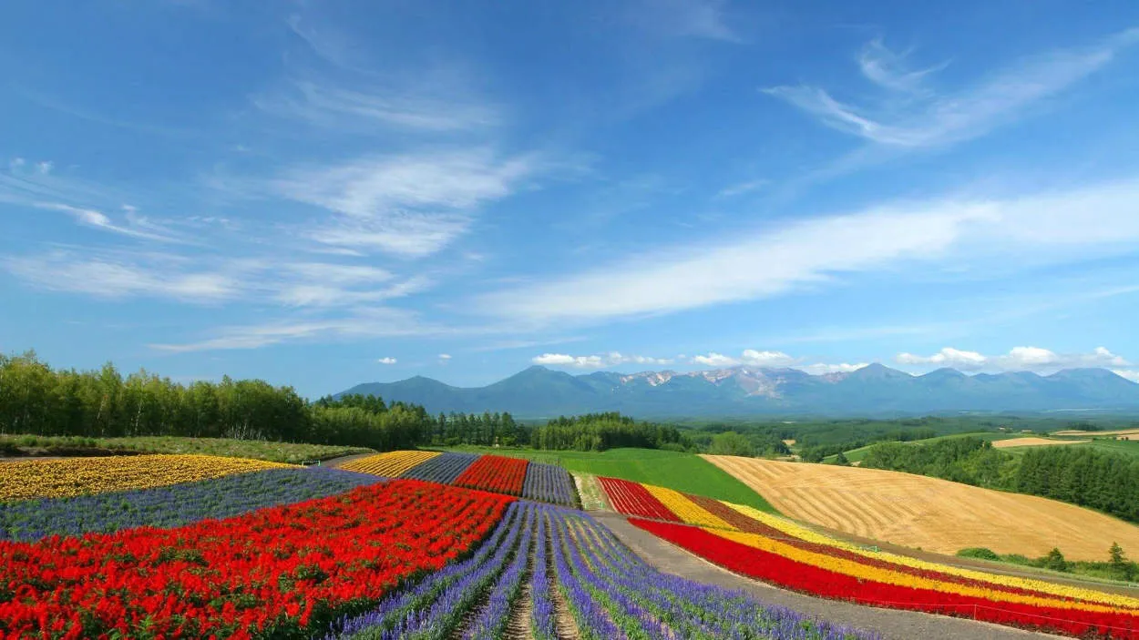 Keindahan Alam Pulau Hokkaido, Jepang