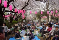 Tradisi Hanami: Melihat Bunga Sakura di Jepang